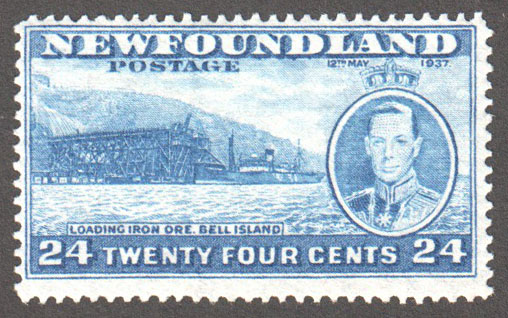 Newfoundland Scott 241 Mint F (P13.7) - Click Image to Close